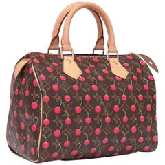 Louis Vuitton Murakami Cerises Cherry Speedy 25 Bag ○ Labellov ○ Buy and  Sell Authentic Luxury