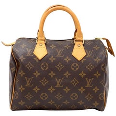 Louis Vuitton Speedy 25 Monogram Canvas City Hand Bag