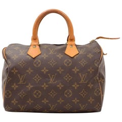 Vintage Louis Vuitton Speedy 25 Monogram Canvas City Hand Bag 