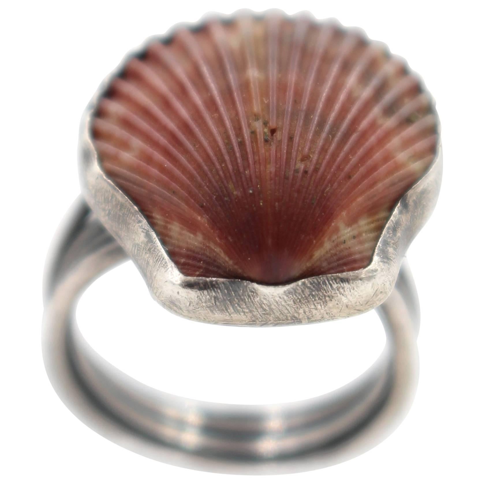 Shell Ring For Sale