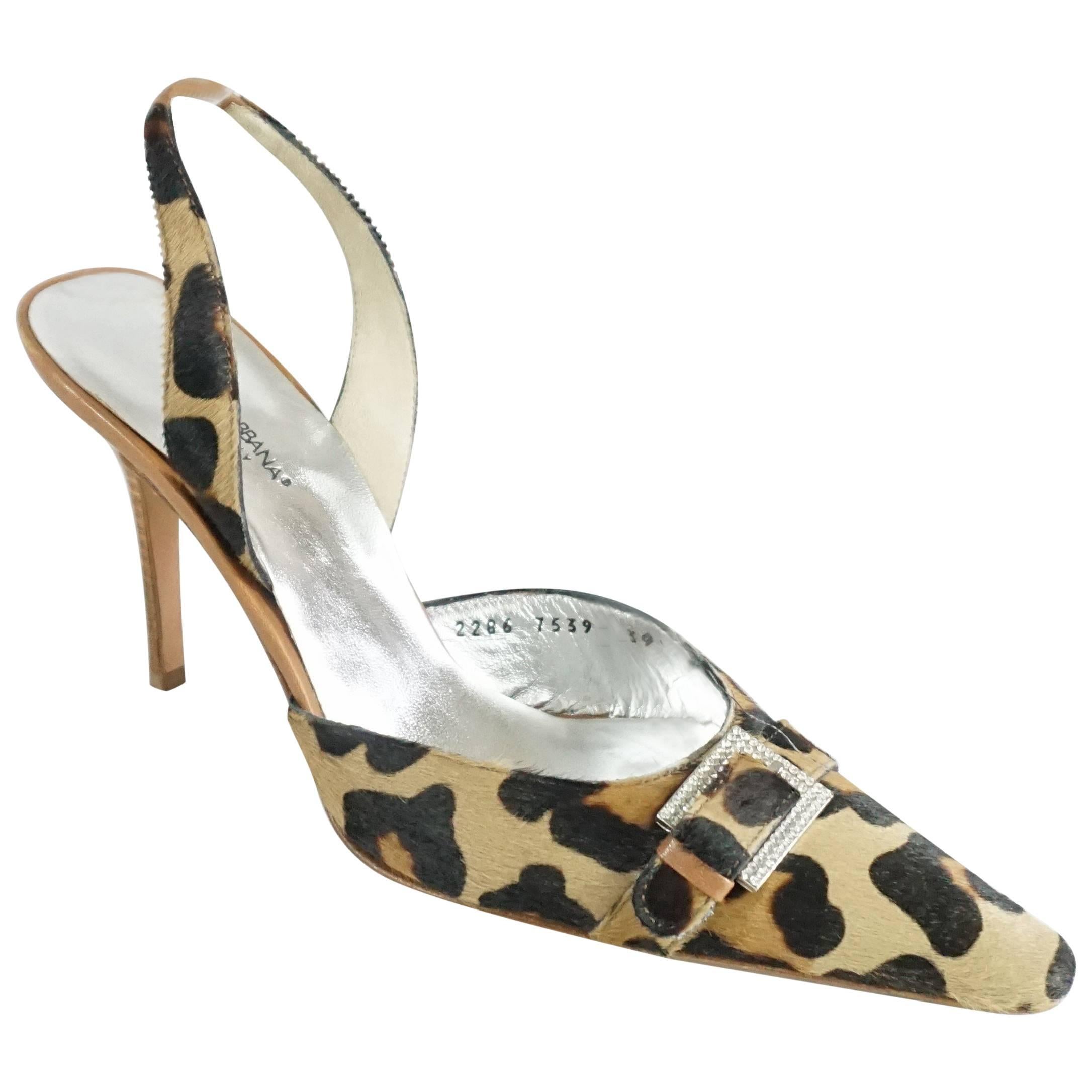 dg cheetah heels