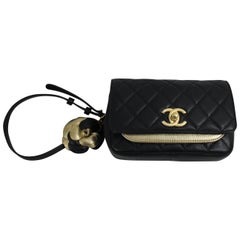Chanel Waist Bag fom 2017 Metiers D'art Collection with Golden Detachable Pouch 11