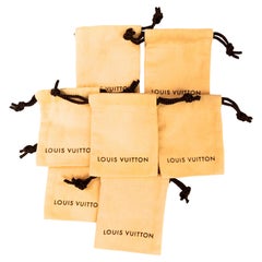 Louis Vuitton Jewelry Bags