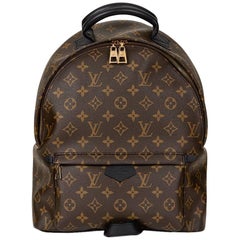 Louis Vuitton Palm Springs MM Backpack at 1stDibs