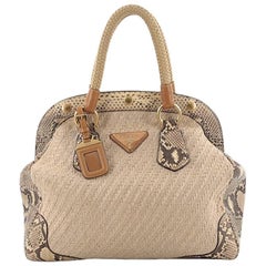 Prada Frame Satchel Straw with Python Large