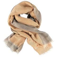 ETRO Gold & Gray Layered Cashmere - Silk Gauze Scarf