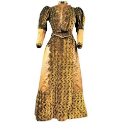 Antique Art Nouveau Day Dress