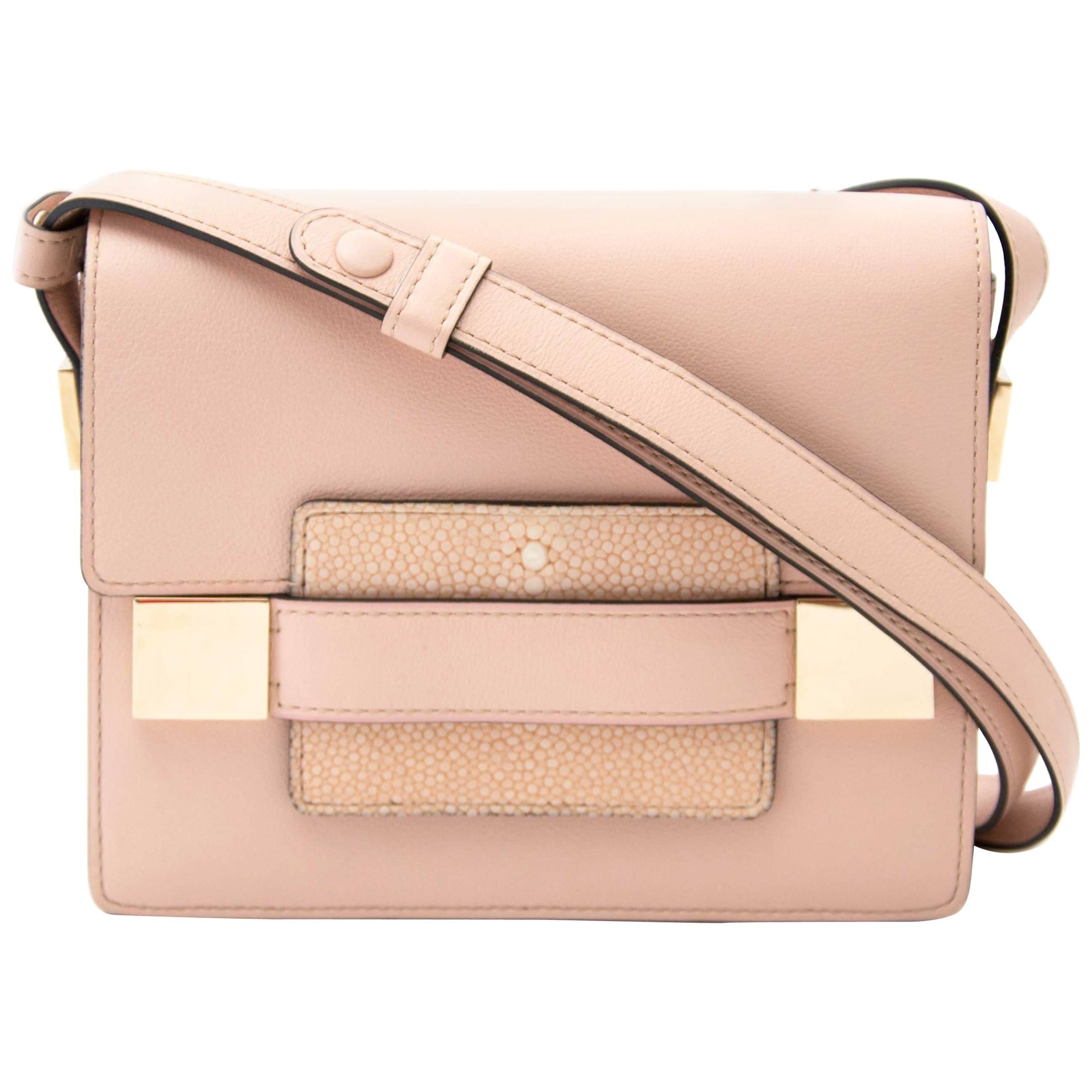 Madame mini leather crossbody bag Delvaux Pink in Leather - 13720600