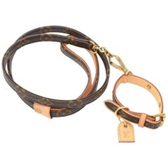 Louis Vuitton Laisse PM + Collier Baxter MM Monogram Canvas Dog Leash and  Collar at 1stDibs