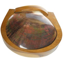 MA-GNI-FIC Wood Box and a Shell Lid Attributed to Alexandre Noll /  NO SIGNED