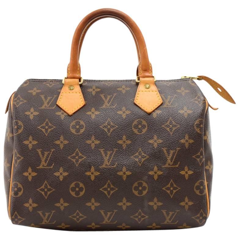 Louis Vuitton Speedy 25 Monogram Canvas City Hand Bag