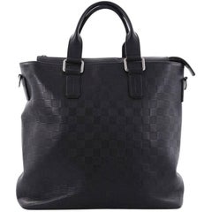  Louis Vuitton Daily Handbag Damier Infini Leather