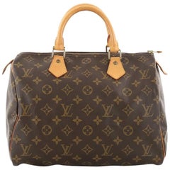 Louis Vuitton Speedy Handbag Monogram Canvas 30