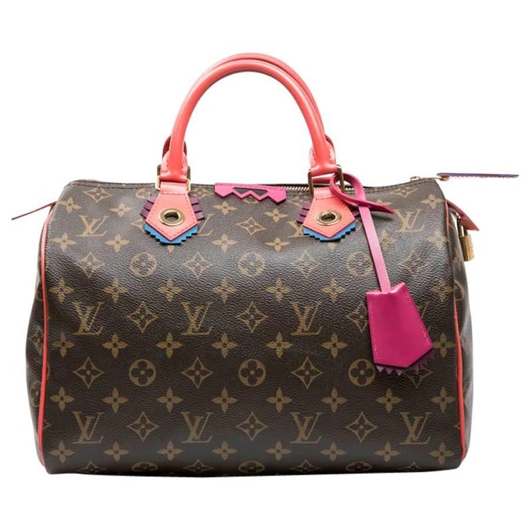 LOUIS VUITTON 'Speedy 30' Limited Edition Bag in Brown totem Monogram ...