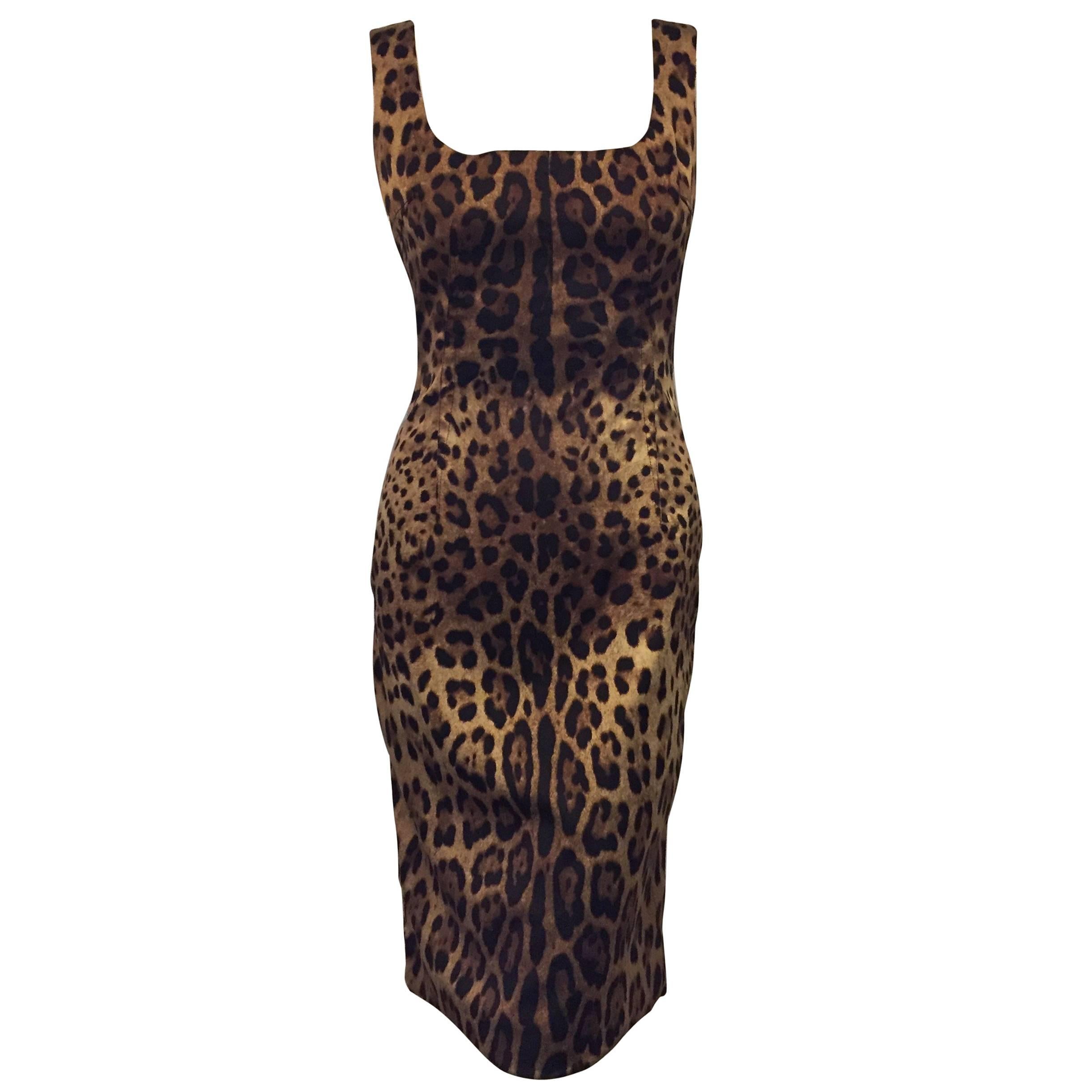 Daring Dolce & Gabbana Leopard Print Sheath Dress