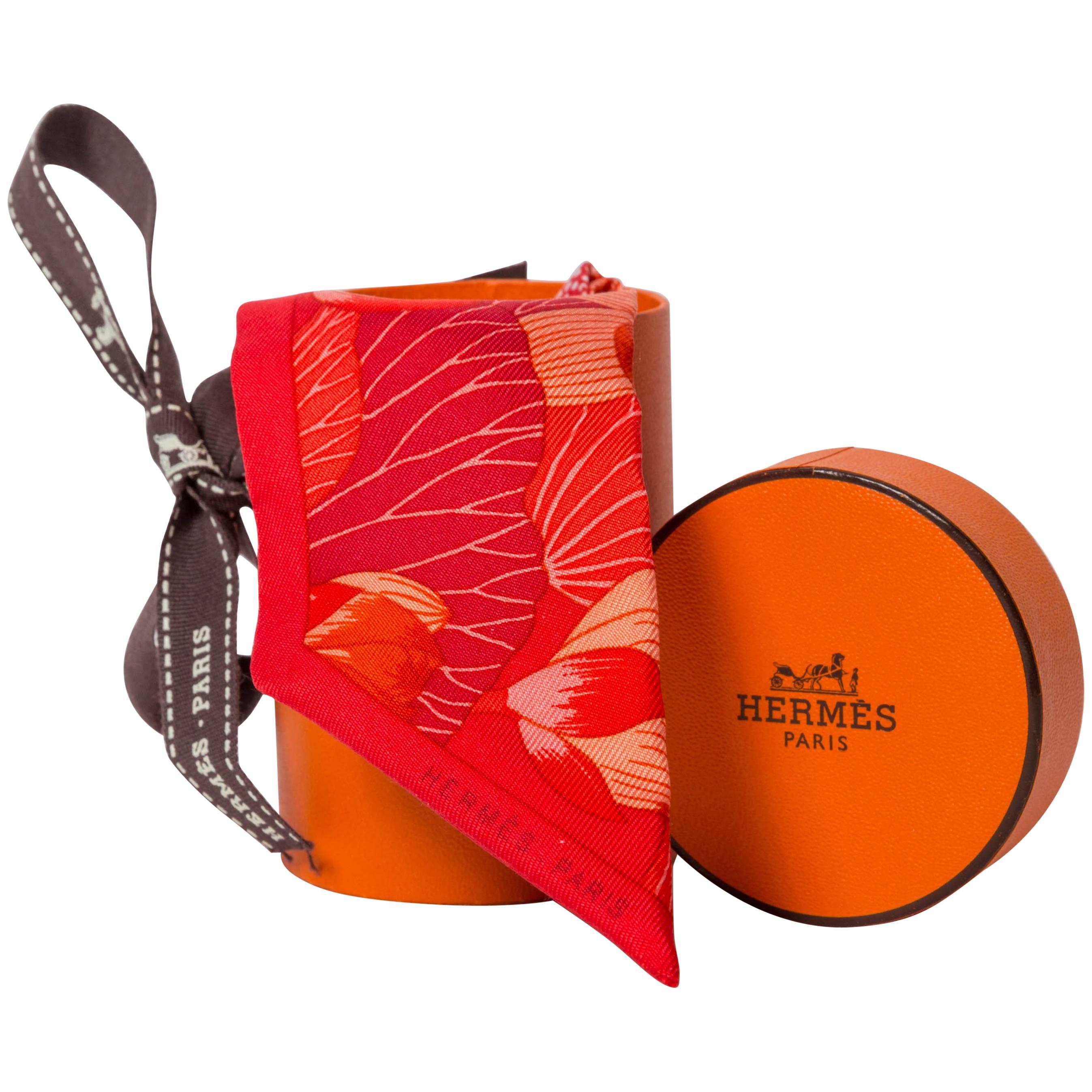 Hermes Twilly with Hermes Box