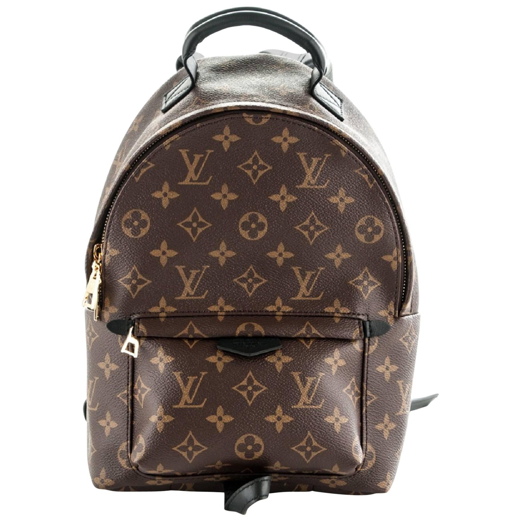 Louis Vuitton Monogram Palm Springs PM Backpack Bag with DB