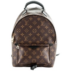 Louis Vuitton Palm Springs Backpack PM White in Smooth Calfskin/Canvas with  Silver-tone - US