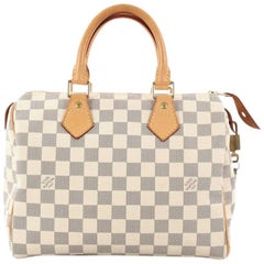  Louis Vuitton Speedy Handbag Damier 25