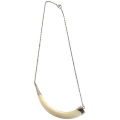 Boars Tusk Sterling Silver Necklace 