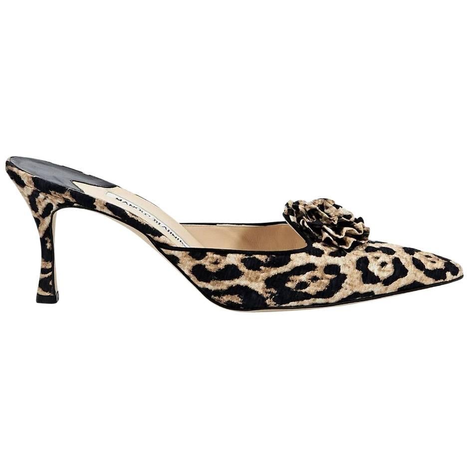 manolo blahnik leopard mules
