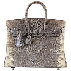 Hermes Ombre Lizard Palladium Hardware Birkin 25 Bag 