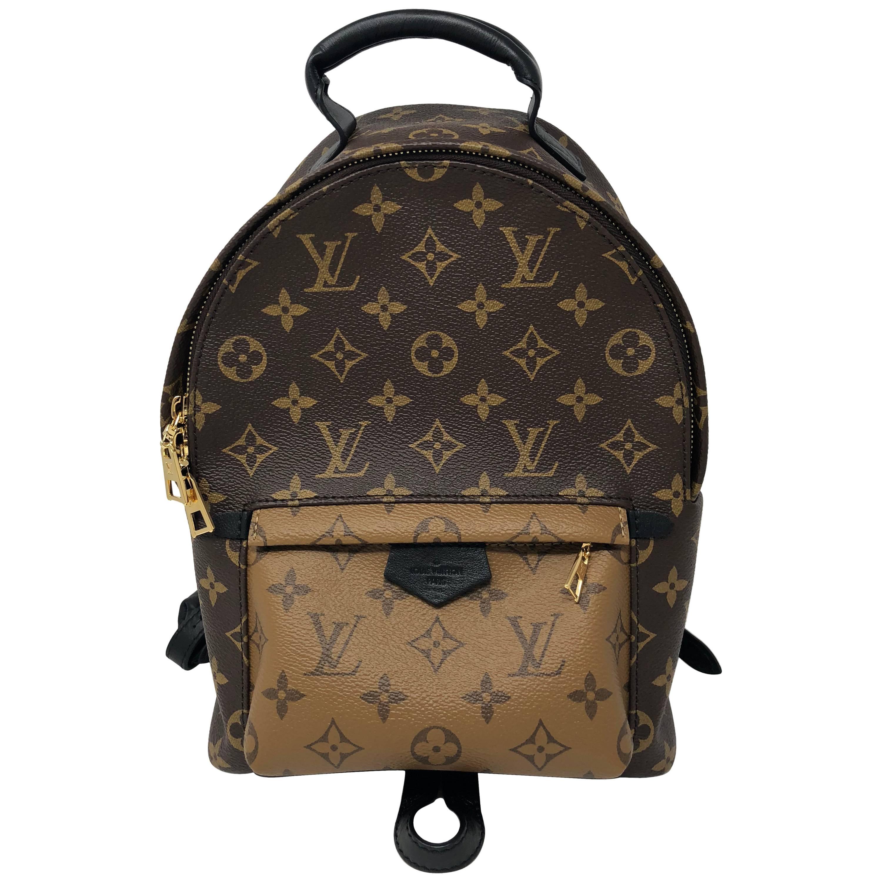 Louis Vuitton Reverse Palm Springs Backpack PM