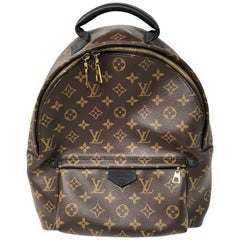 Louis Vuitton Palm Springs MM Backpack 