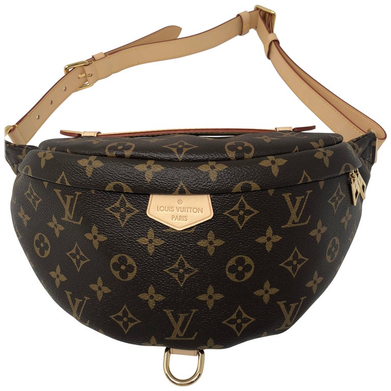 Louis Vuitton Bum Bag at 1stDibs  louis vuitton bumbag, louis vuitton  gürteltasche, brown louis vuitton bumbag