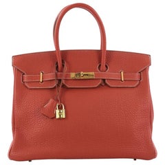 Hermes Birkin Handbag Sanguine Fjord with Gold Hardware 35