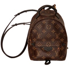 Louis Vuitton Palm Springs Backpack Mini 