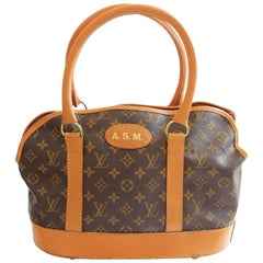 Rare Louis Vuitton French Co Sac Chien Small Dog Carrier or Tote Bag Luggage 70s
