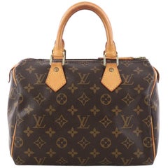 Louis Vuitton Speedy Handbag Monogram Canvas 25