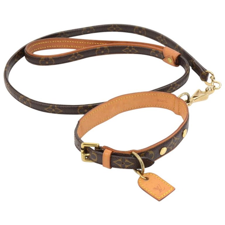 Louis Vuitton Laisse PM + Collier Baxter MM Monogram Canvas Dog Leash and  Collar at 1stDibs