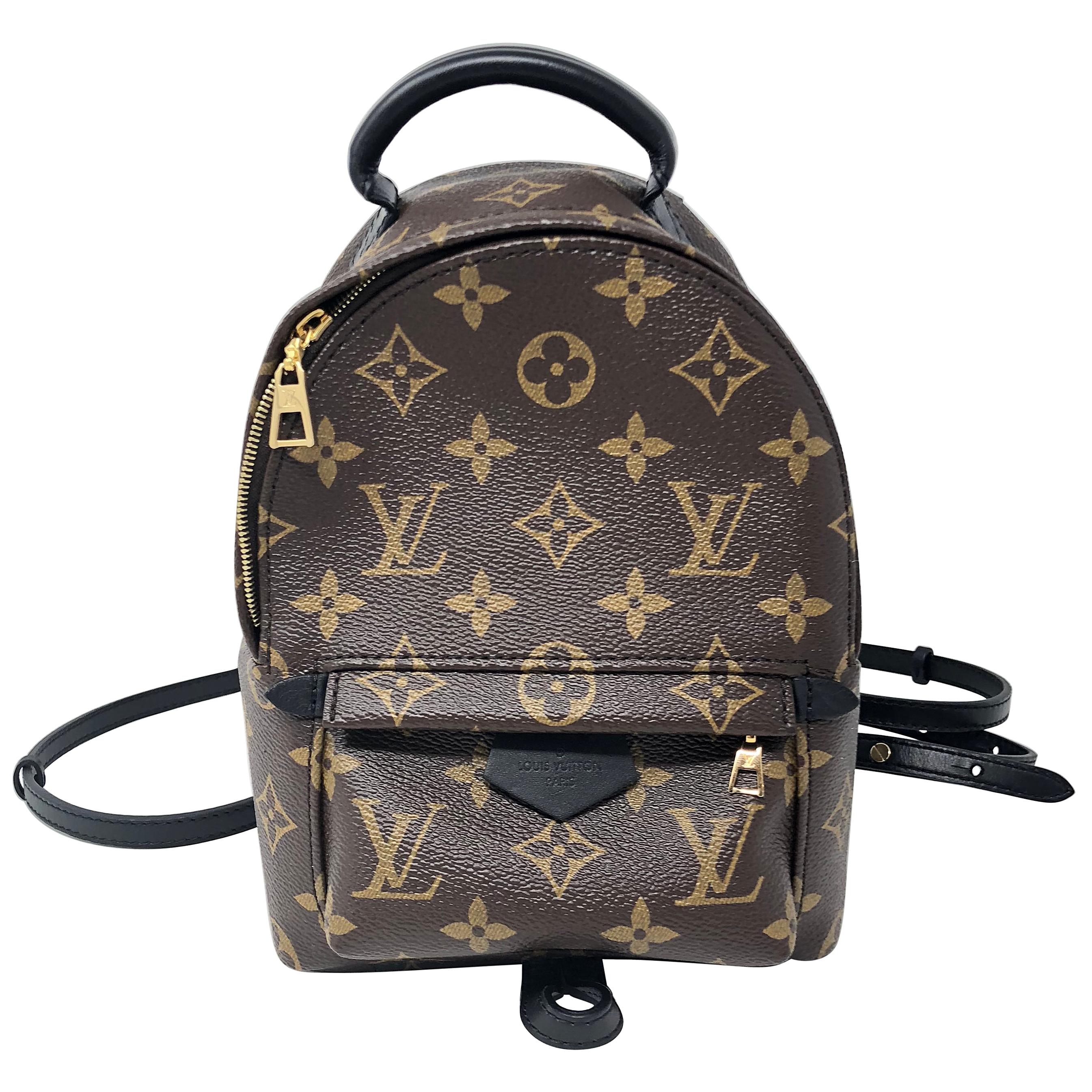 Louis Vuitton Palm Springs Mini Backpack 