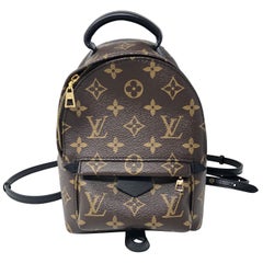 Louis Vuitton Palm Springs Mini-Rucksack