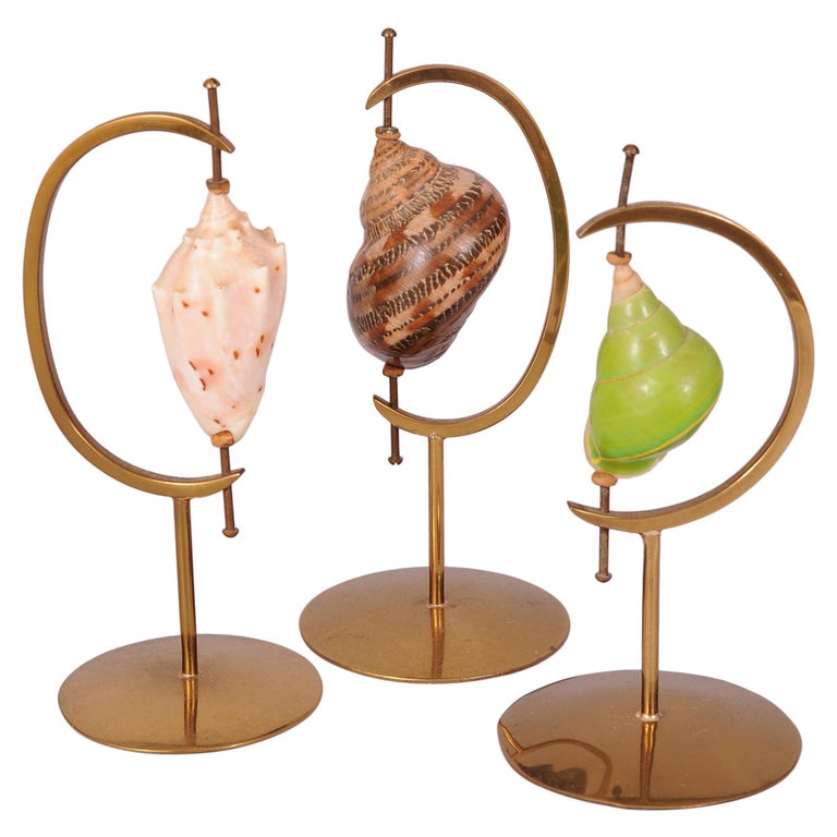 Marguerite Stix Designed Brass Sea Shell Display Stands and Shells