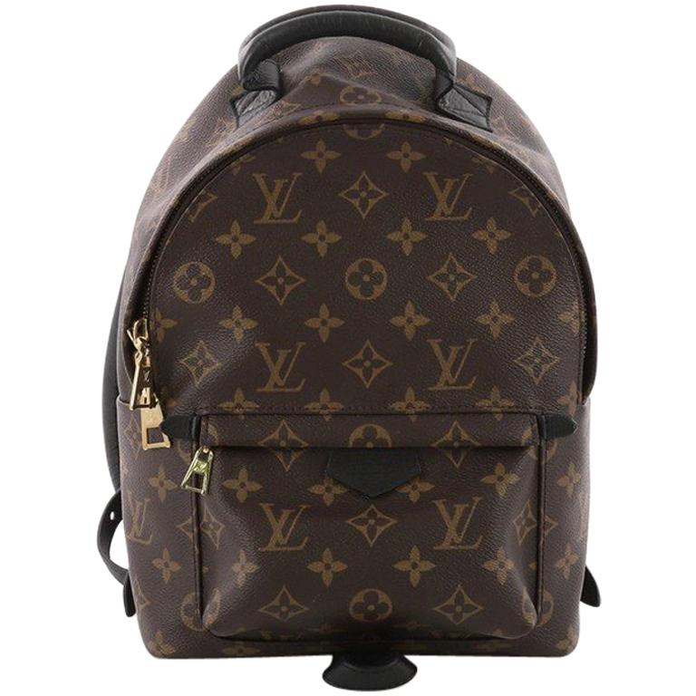 Louis Vuitton Palm Springs Backpack Monogram Canvas PM at 1stdibs
