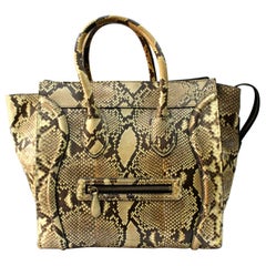 Cèline Luxury Luggage Bag