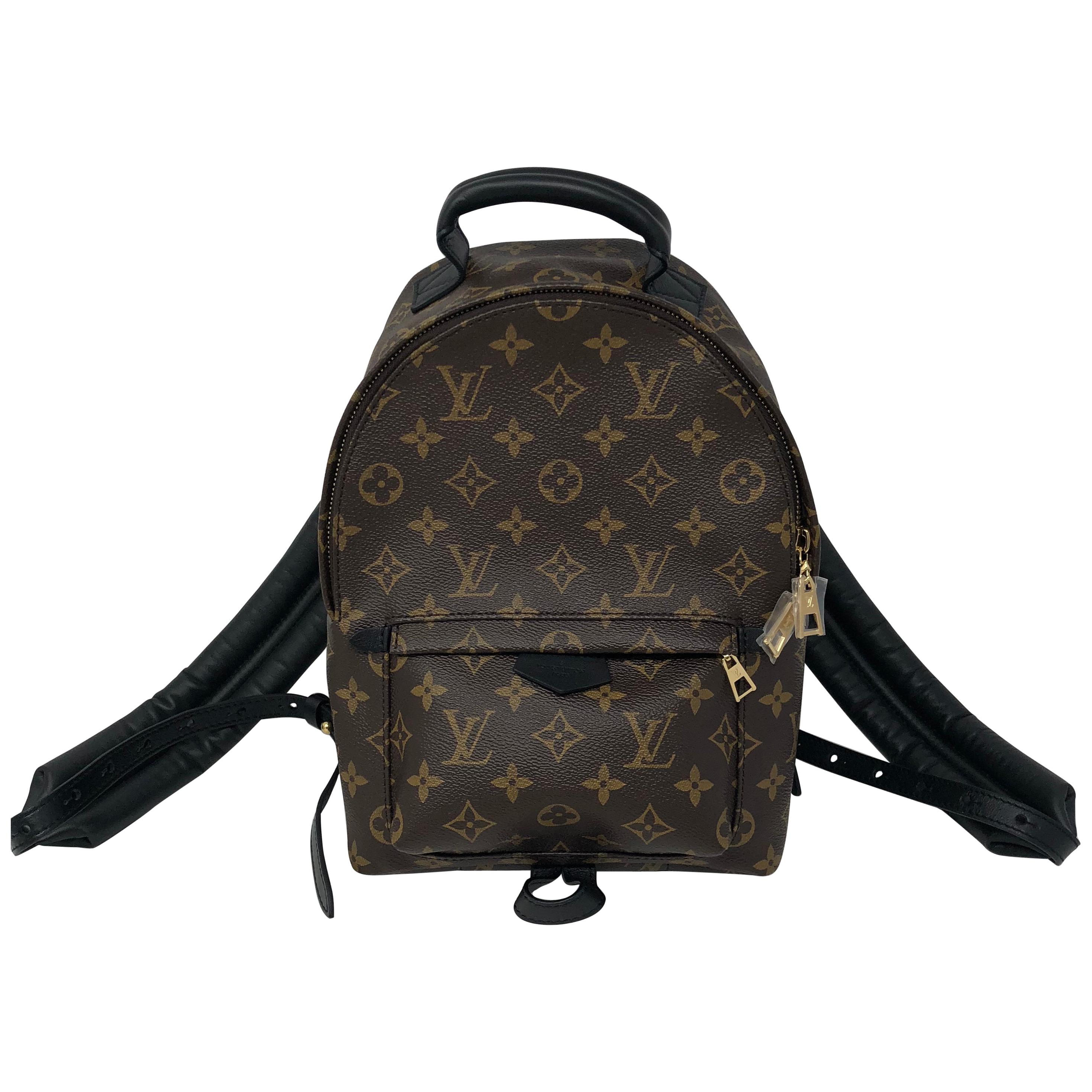 Louis Vuitton Palm Springs Backpack PM
