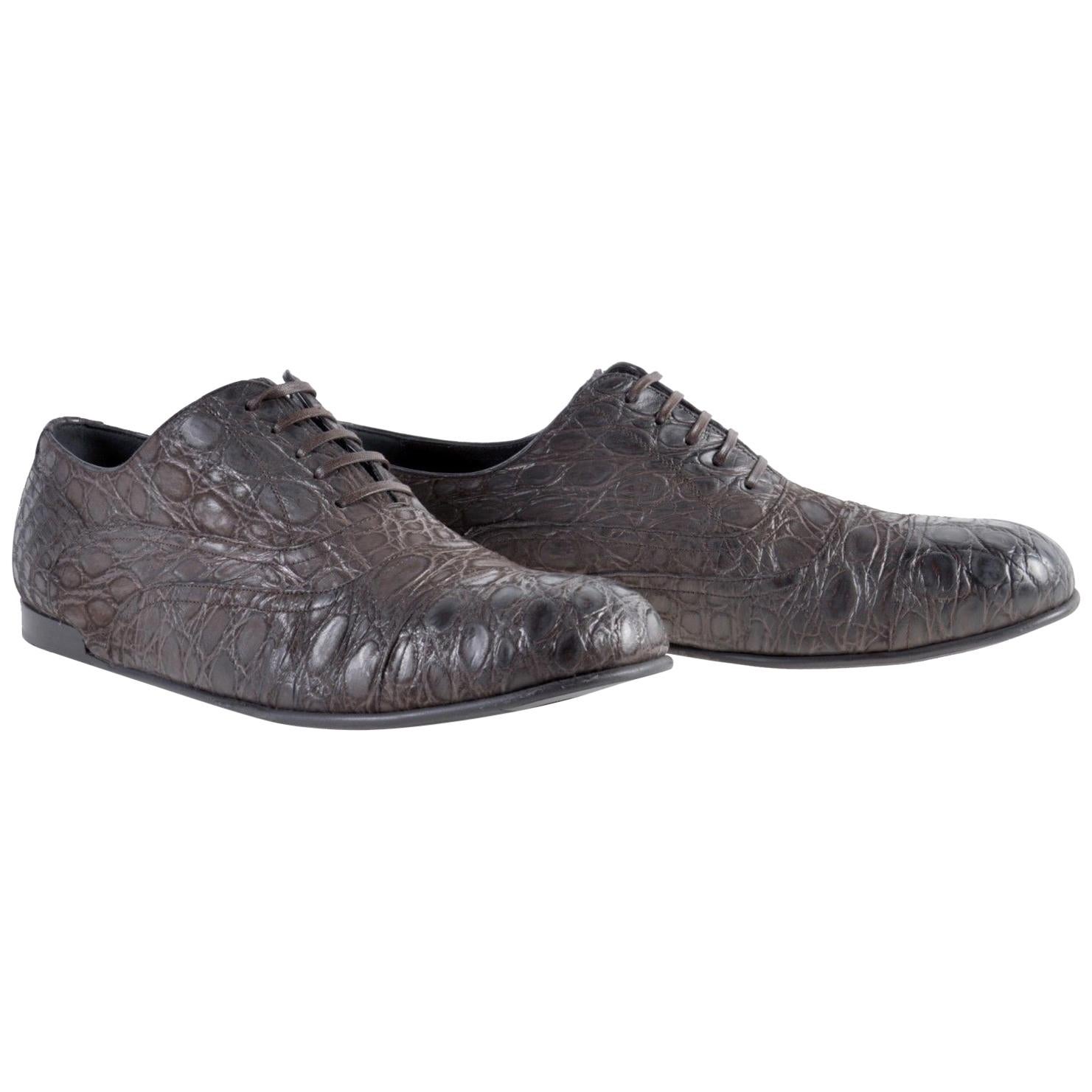 NEW DOLCE & GABBANA BROWN CROCODILE LEATHER SHOES for MEN 43 - US 10