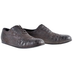 NEW DOLCE & GABBANA BROWN CROCODILE LEATHER SHOES for MEN