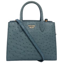 2017 Prada Bilbioteqhue Straußenleder