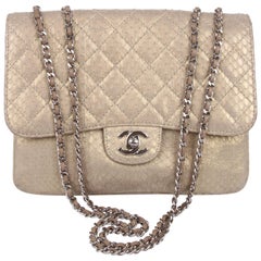 Used Chanel Accordeon Flap Bag Python Leather - greenish matte gold