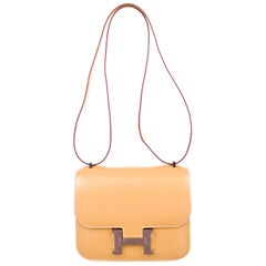 Hermes Constance Lizard Inlay Tadelakt Mini
