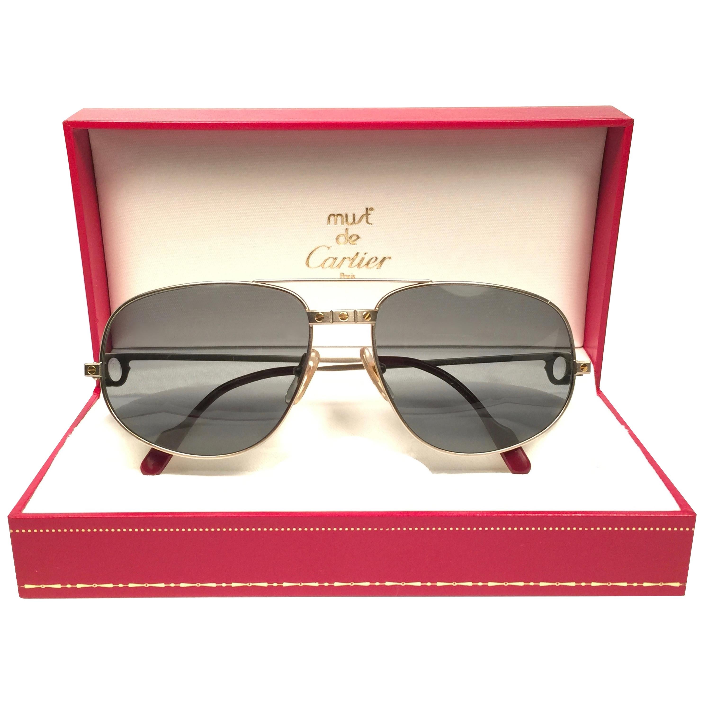 Cartier Vintage Romance Santos 58mm Titanium France Sunglasses For Sale at  1stDibs | cartier romance santos sunglasses