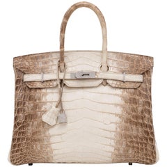 HERMÈS Himalaya Crocodile Diamond Birkin 35 avec quincaillerie en or blanc 18K