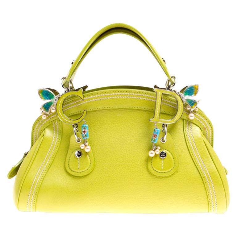 Dior Green Leather Small Limited Edition 0076 Butterfly Detective ...