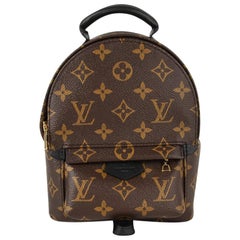 Louis Vuitton Palm Springs Backpack Mini Monogram