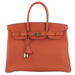 Hermes Birkin Handbag Terre Battue Togo with Gold Hardware 35